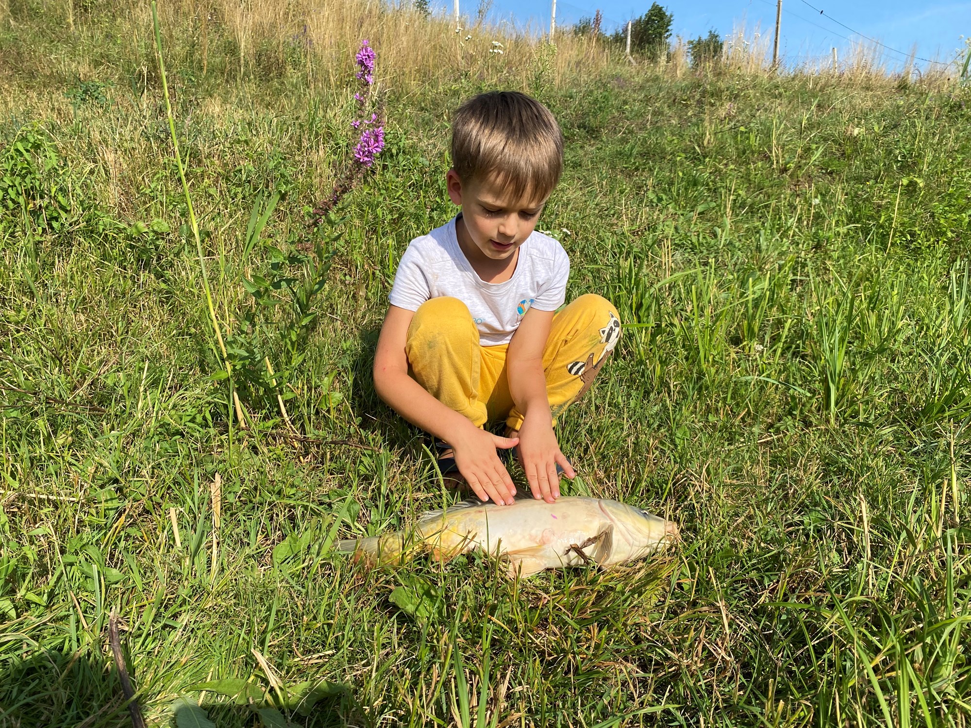 Zaganu 1 - 8 aug. - 9C8FF16619A7466EA53AC9322040B655.jpg